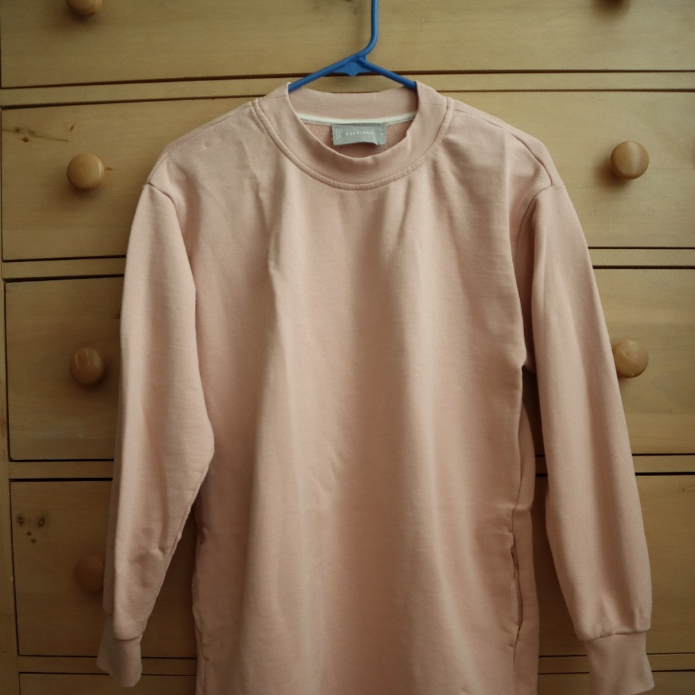 Everlane Sweater Dress